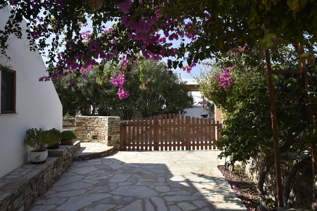 Hippocampus Studios Antiparos Exterior foto