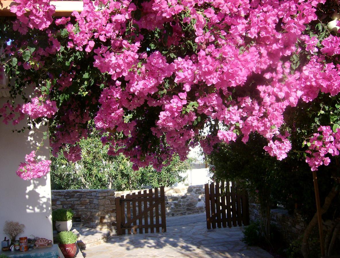 Hippocampus Studios Antiparos Exterior foto